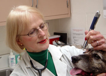 Portrait of Dr. Patricia O'Handley
